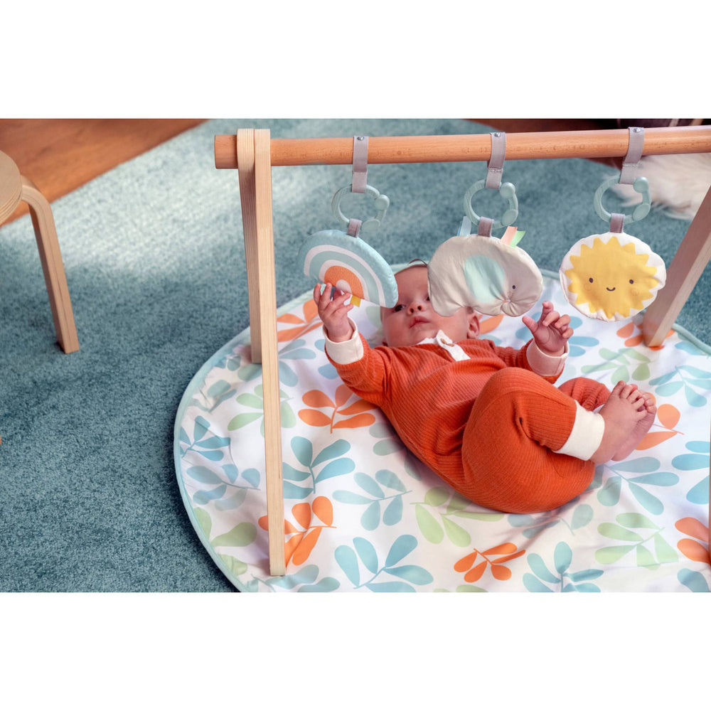 Køb Ingenuity Sun Valley™ Wooden Legetøj Aktivitetsbue & Play Mat