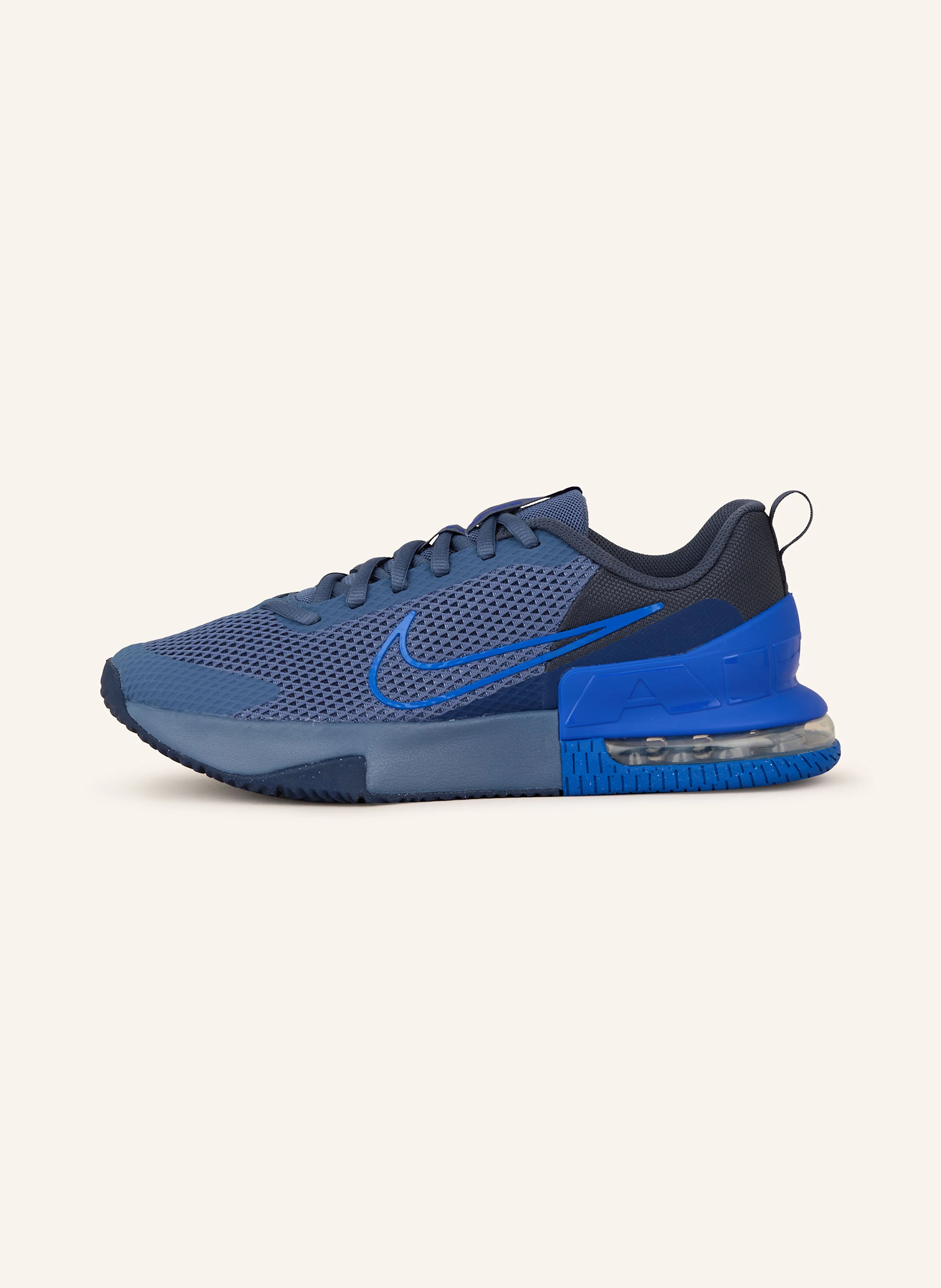 Nike Fitnessschuhe AIR MAX ALPHA TRAINER 6
