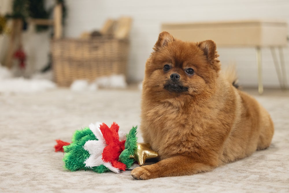 Beeztees hondenspeelgoed kerstboom 30 x 20 x 15 cm