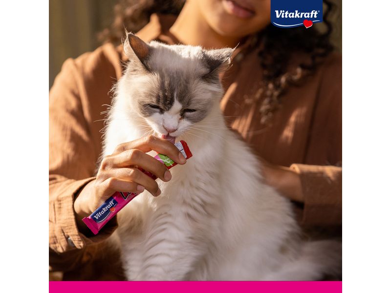 Vitakraft Cat Liquid Leberwurst und Lachs,, 16 x 15 g Snack für Katzen