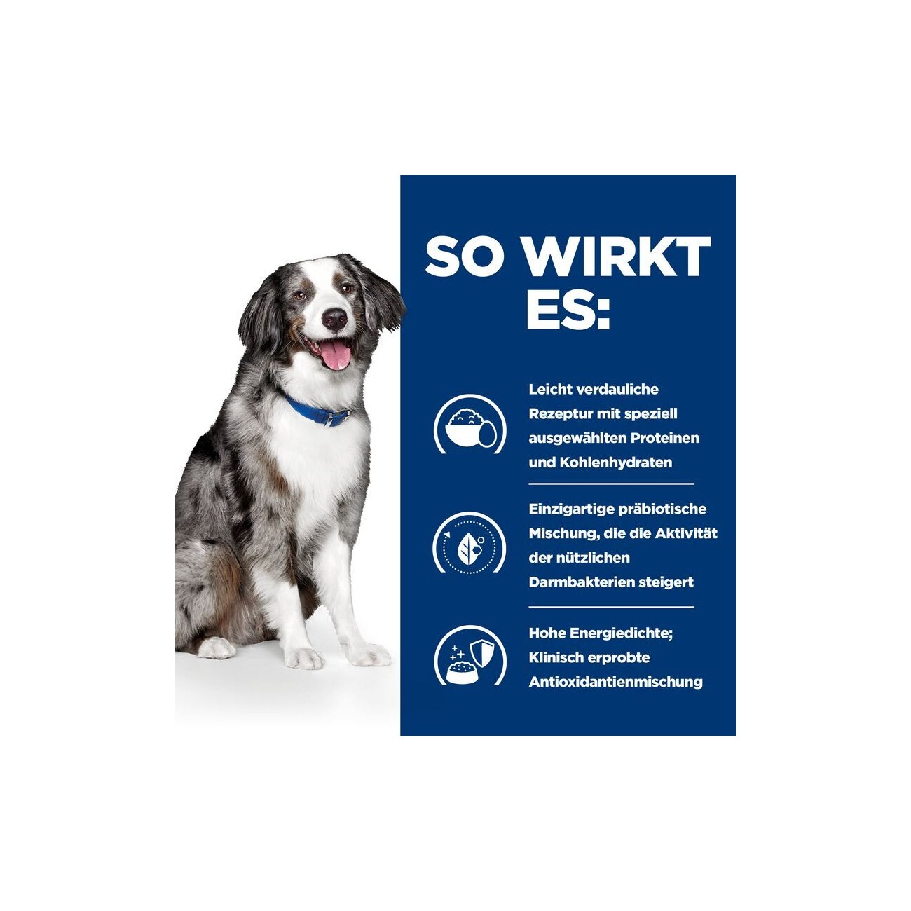 Hill's Prescription Diet i/d Sensitive Trockenfutter für Hunde, Adult, mit Ei und Reis zur Unterstützung der Verdauung 12 kg