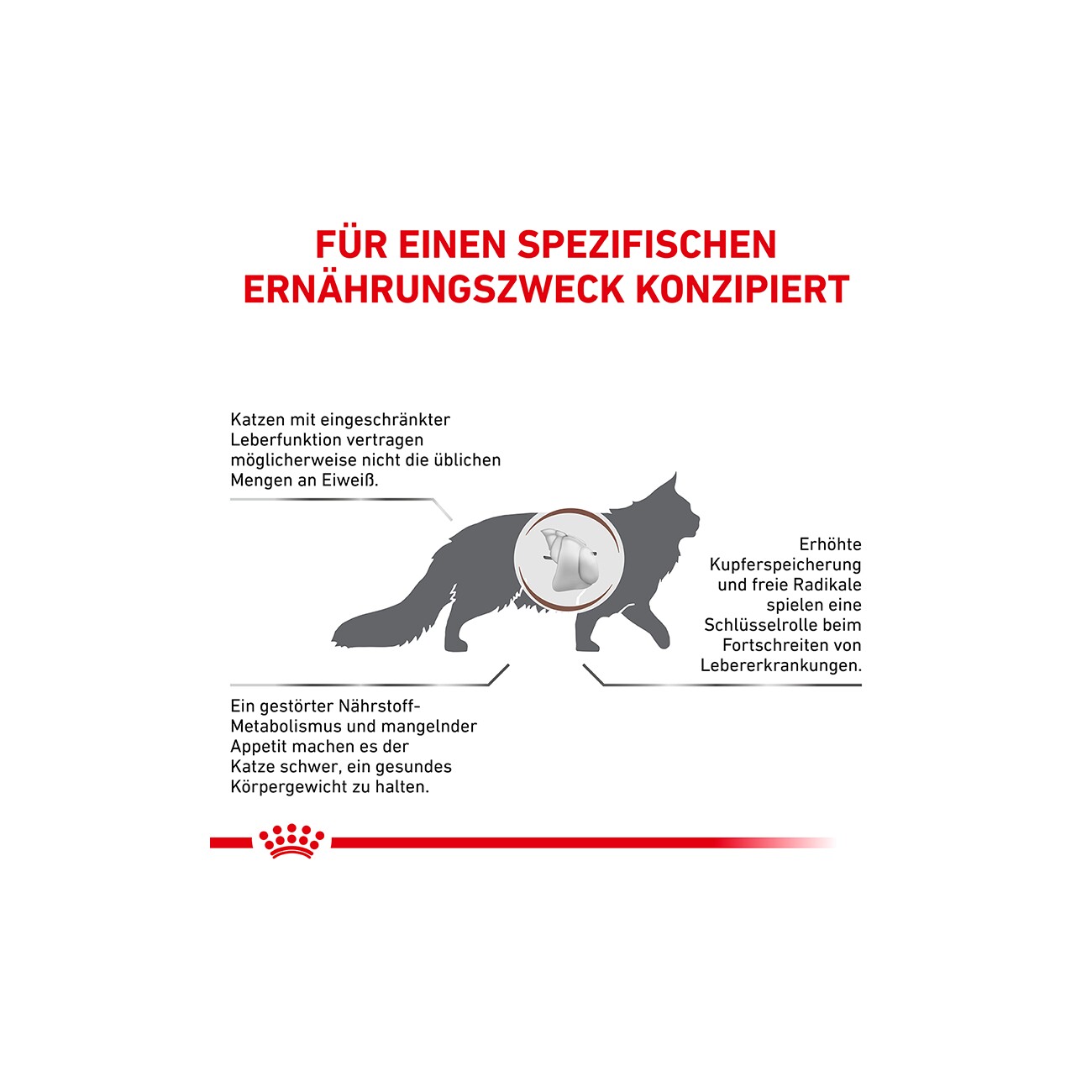 ROYAL CANIN Veterinary HEPATIC 2 kg