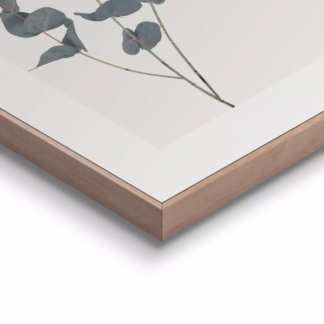 Wandbild 40 x 50 cm Eucalyptus