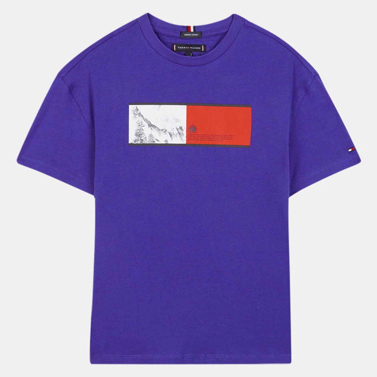 Tommy Hilfiger T-Shirt en Coton biologique à logo patch  bleu indigo