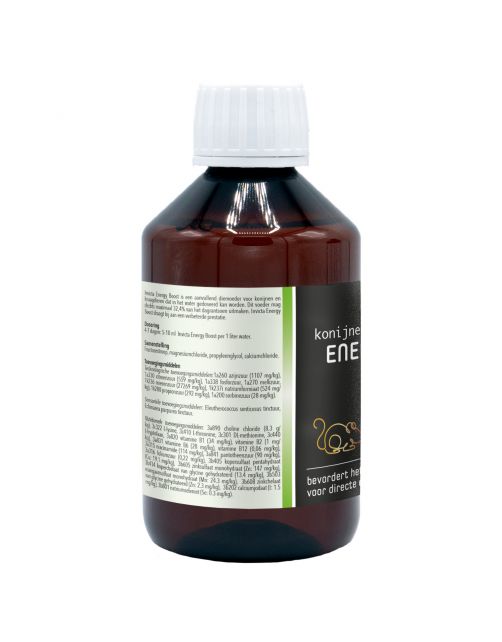 Invicta Energy Boost - Voedingssupplement