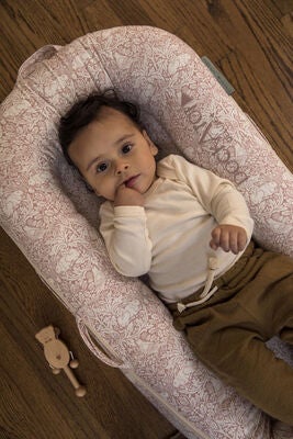 DockATot Deluxe+ Babynest, Brer Rabbit Pink