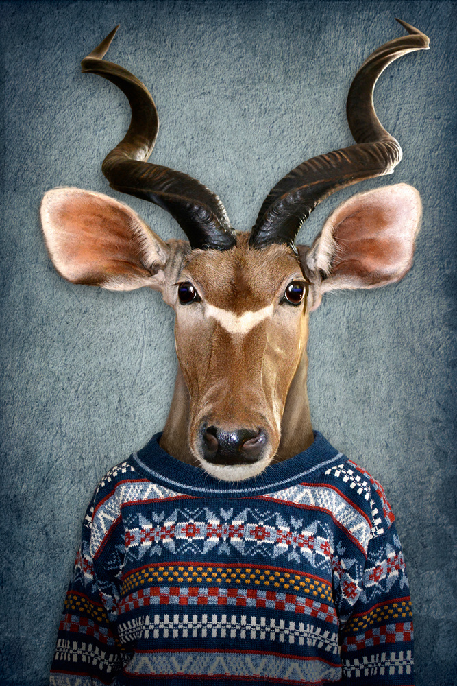 Akustikbild ANTILOPE MIT PULLI 80x120cm, 7kg