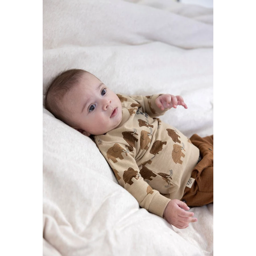 Feetje Sweatshirt Best Friends Sand