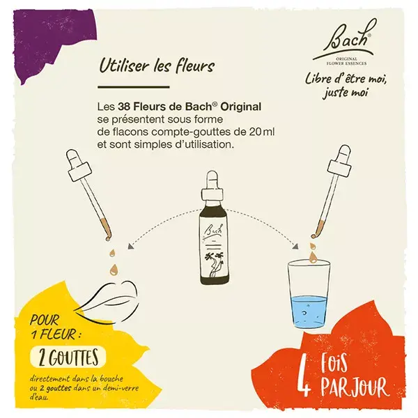 Fleurs de Bach Original - Holly 20ml