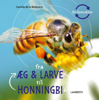 Fra Æg Og Larve Til Honningbi - Camilla De La Bédoyére - Bog