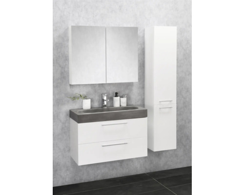 Badkamermeubelset Differnz Somero BxHxD 80 x 57 x 38 cm, frontkleur wit hoogglans met wastafel betongrijs