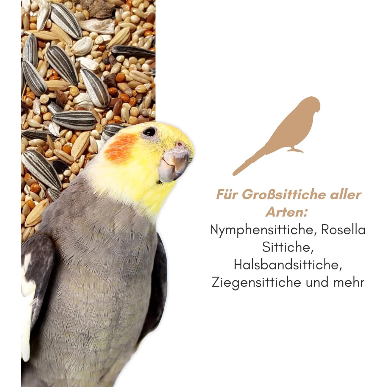 Supravit Großsittichfutter - Körnermischung für Großsittiche 2,5 kg