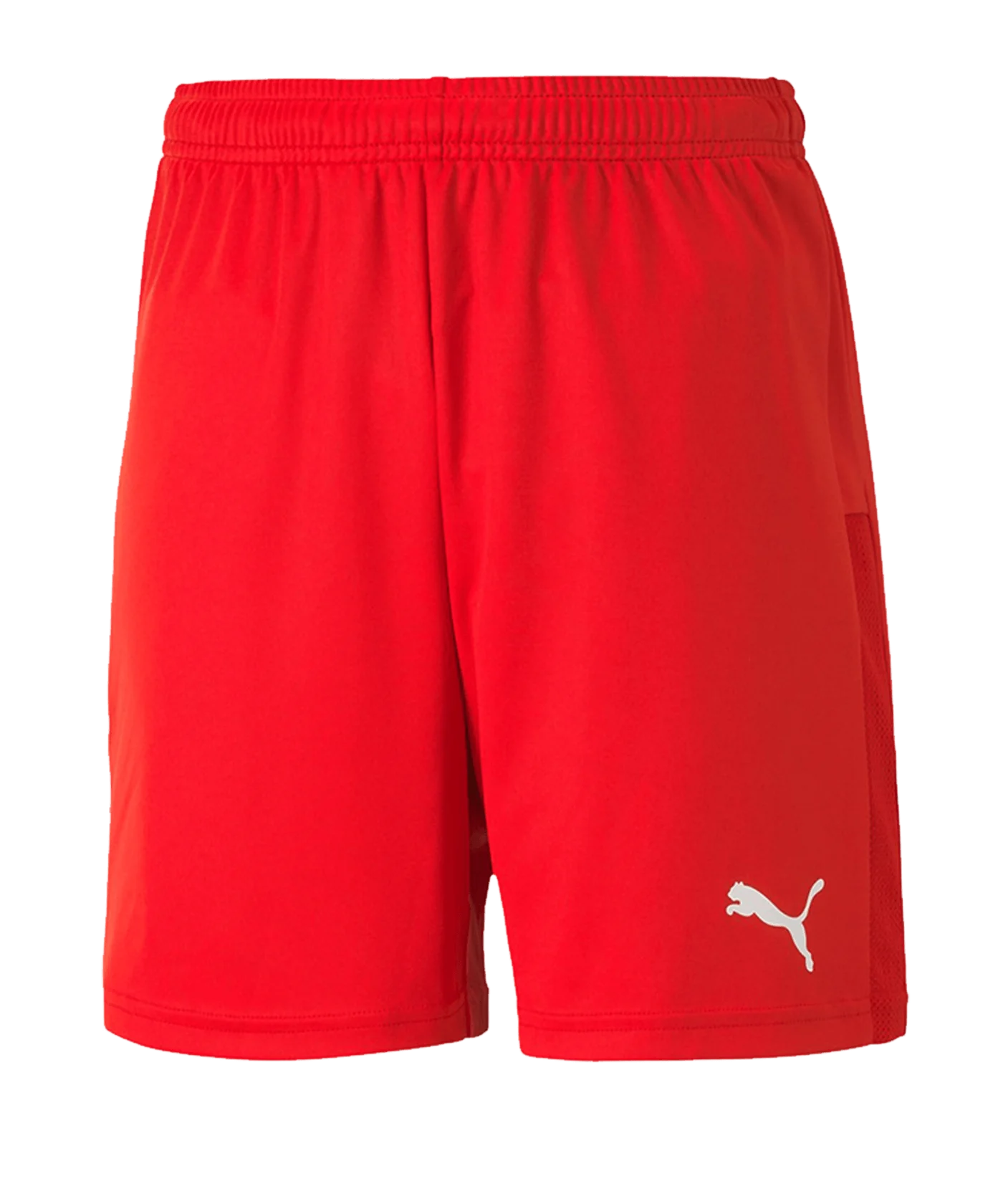 PUMA teamGOAL 23 Knit Short Kids Rot F01