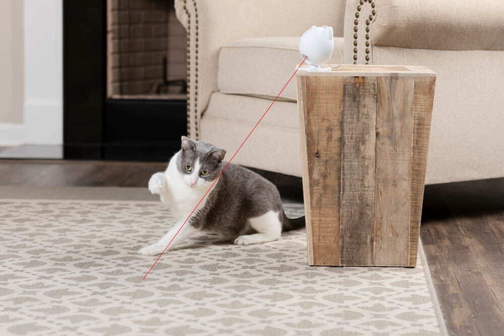 Petsafe Dancing Dot - Laserlamp