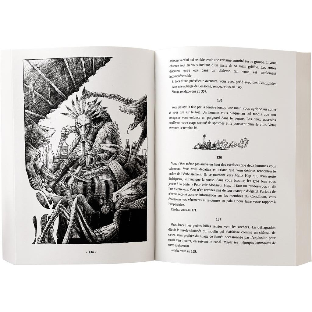 Le Sire aux Tristes Couleurs - Les Chroniques d'Hamalron 3