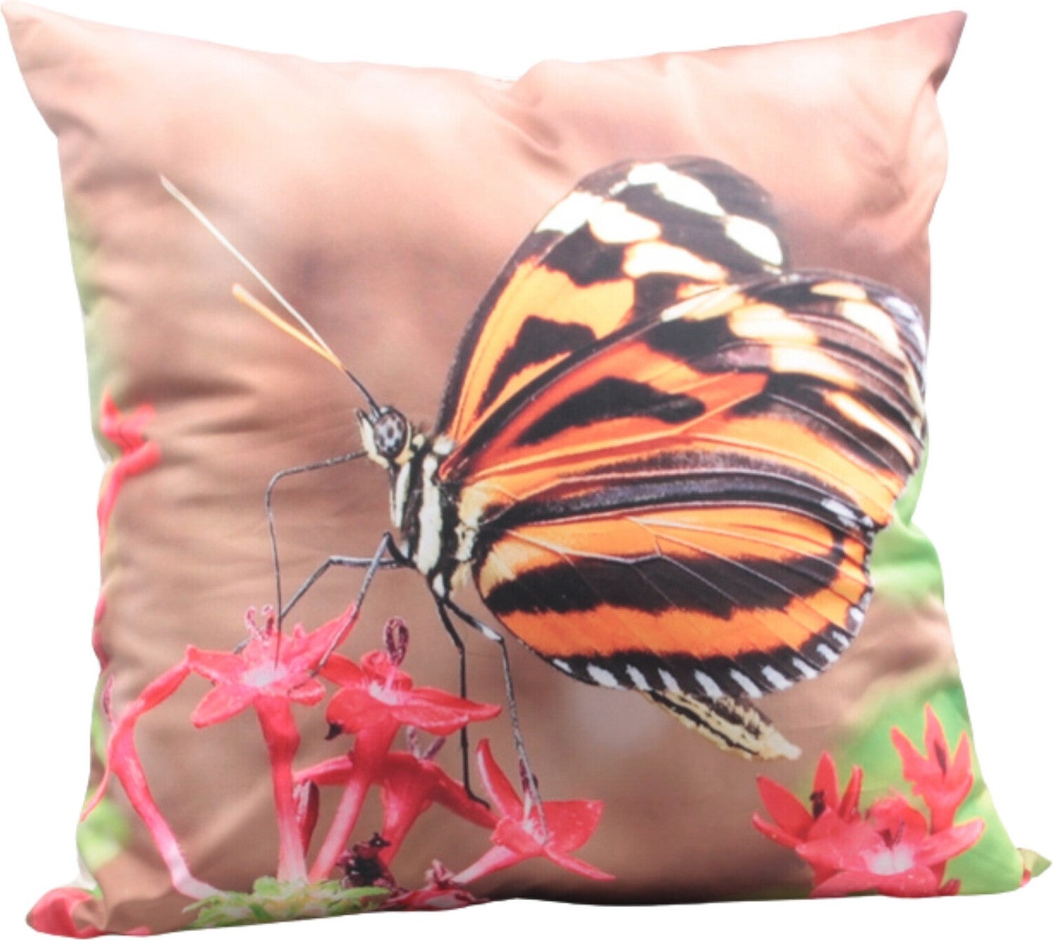 Farmwood Animals sierkussen vlinder multi 45 x 45 x 2 cm