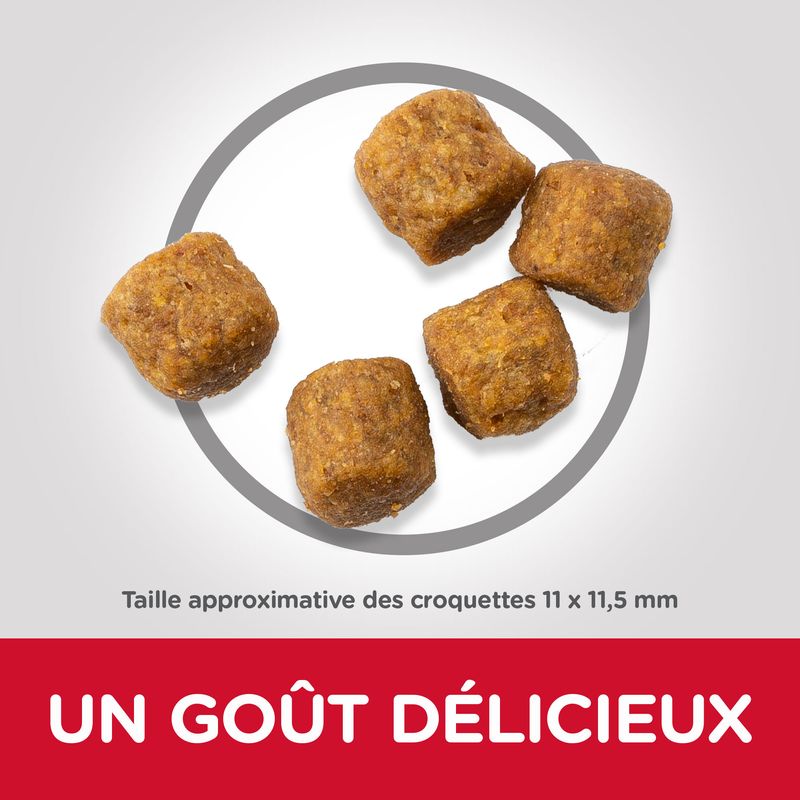 Hill's Science Plan Adult 1-6 Medium agneau, riz sur bitiba.fr