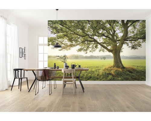 Fotobehang vliesbehang SHX9-086 De Magische Boom 9 stuks 450x280cm