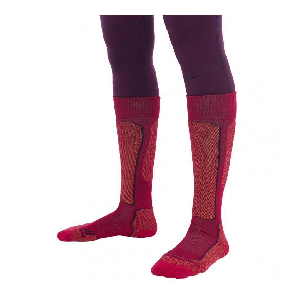 Icebreaker SKI+ - Chaussettes Femme electrnpnk/earth/nghtshad