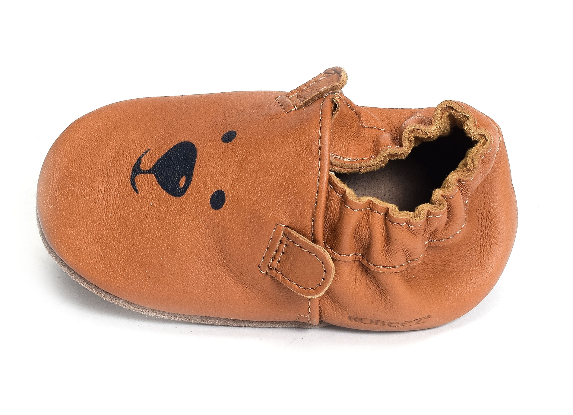 Sweety bear camel