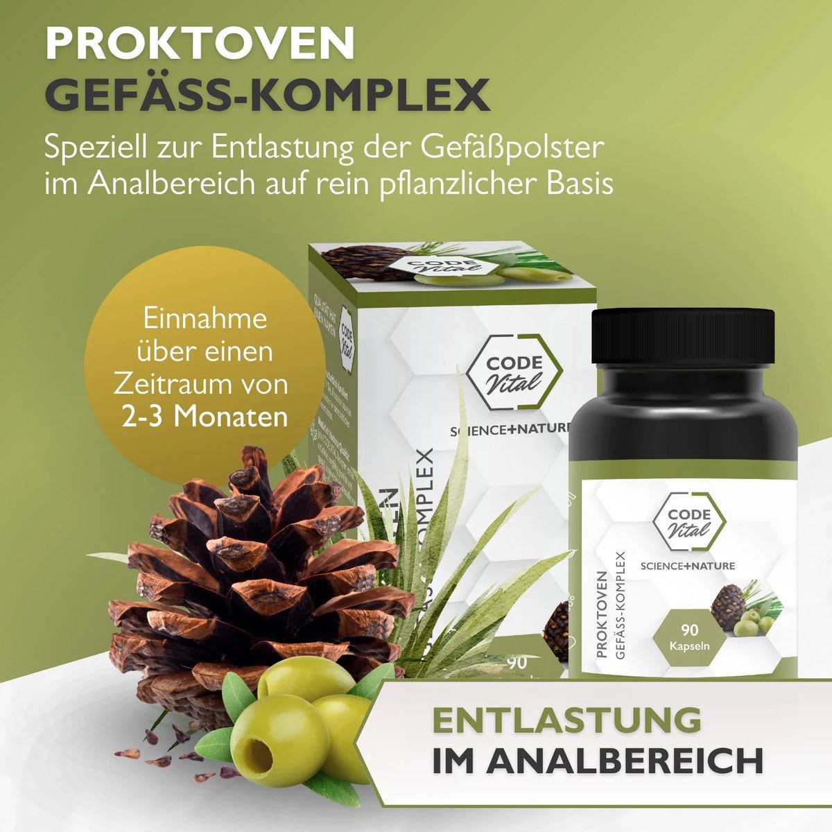 CODE Vital ProktoVen Gefäß-Komplex - Polyphenole zur Entlastung der Blutgefäße im Analbereich