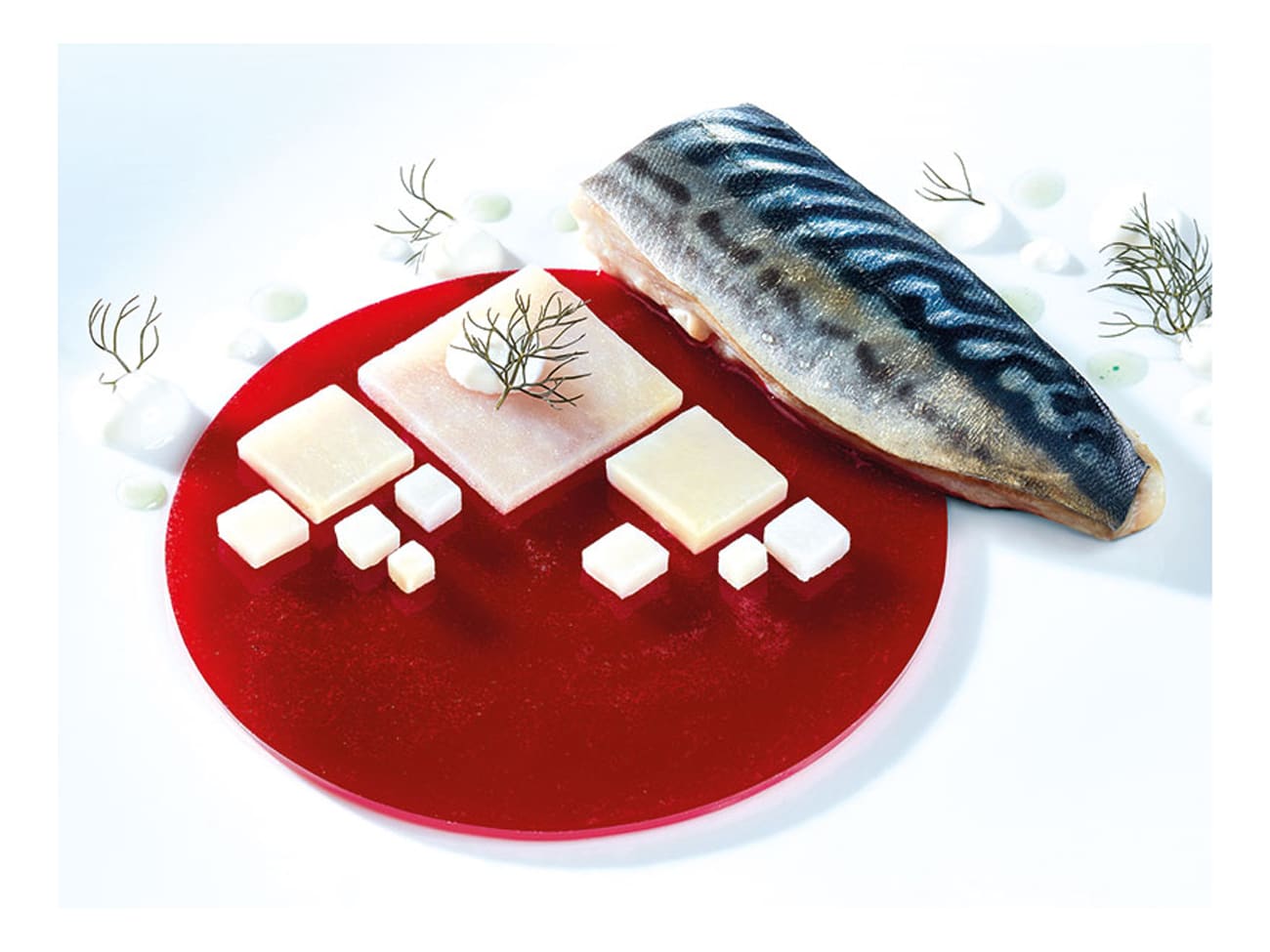 Plaque silicone grand disque - 6 empreintes - 40 x 30 cm - Pavoni