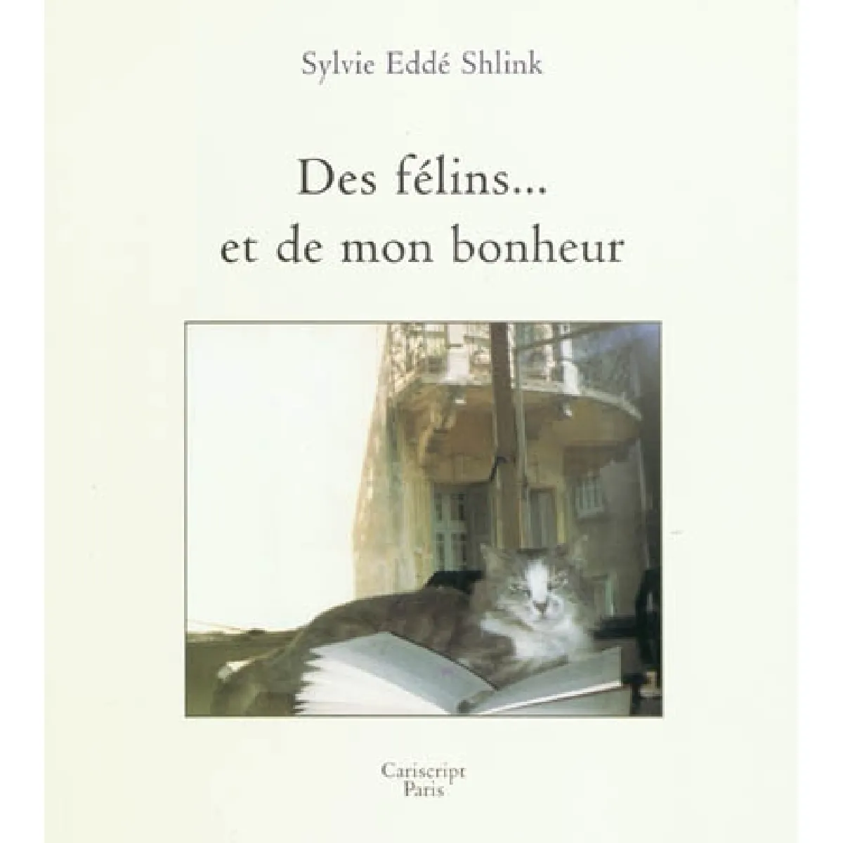 Des félins... et de mon bonheur · Occasion
