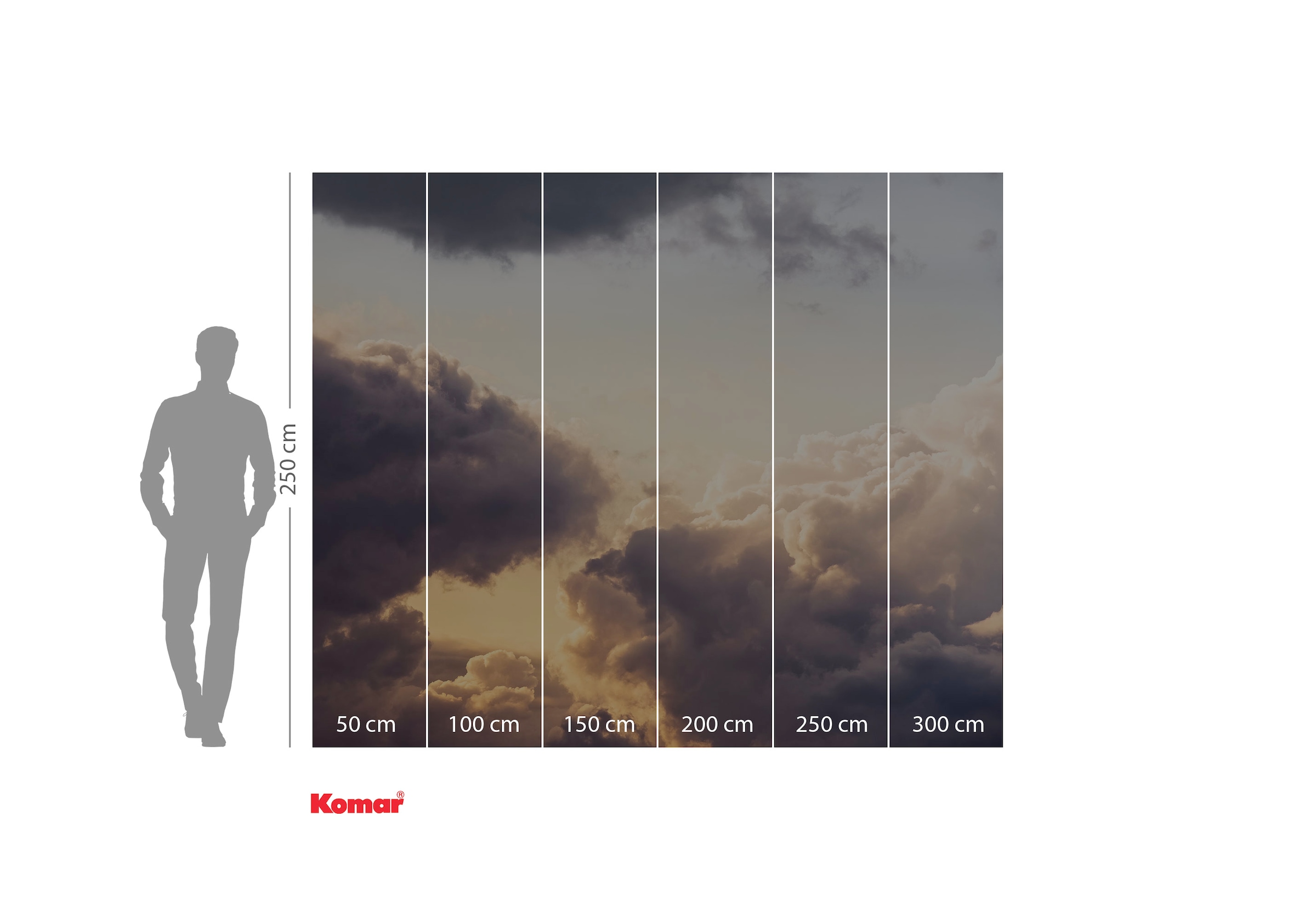 Komar Fototapete »Digitaldruck Vlies -  Cloud Cast - Grösse 300 x 250 cm« bedruckt | floral | geblümt | gemustert | tropisch glatt Wohnzimmer, Schlafzimmer