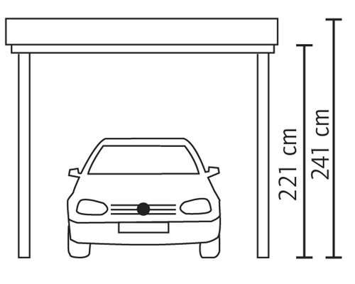 SKAN HOLZ Friesland enkele carport inclusief zij- en achterwand 314x555 cm dompelgeïmpregneerd