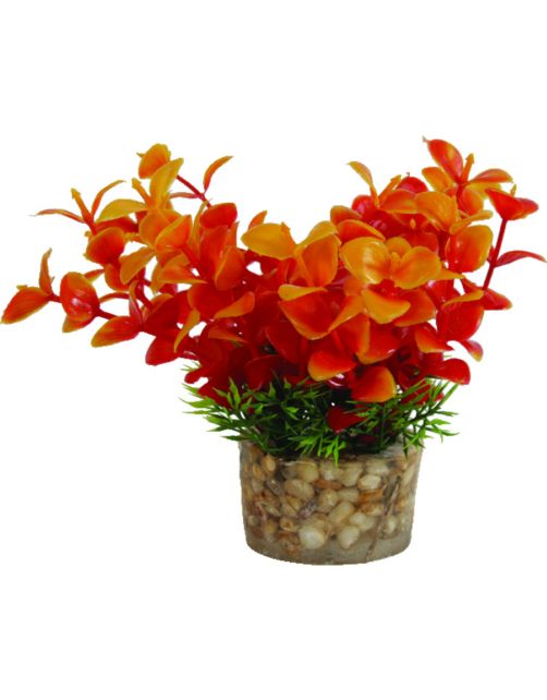 Zolux Kunstplanten Op Grind - Aquarium - Kunstplant - Assorti per stuk Small