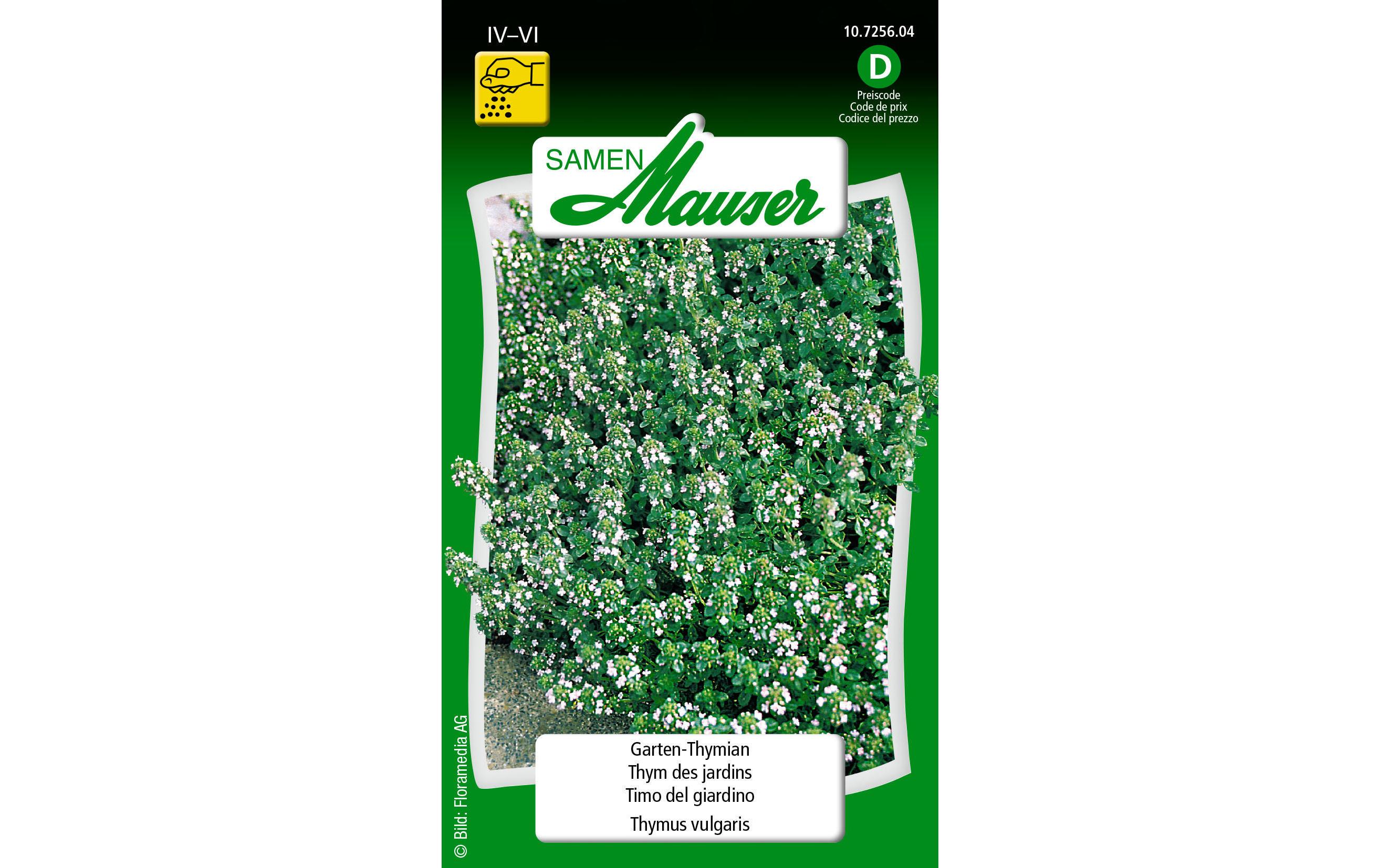 Samen Thymian (Garten/Winter)Gemüsesamen