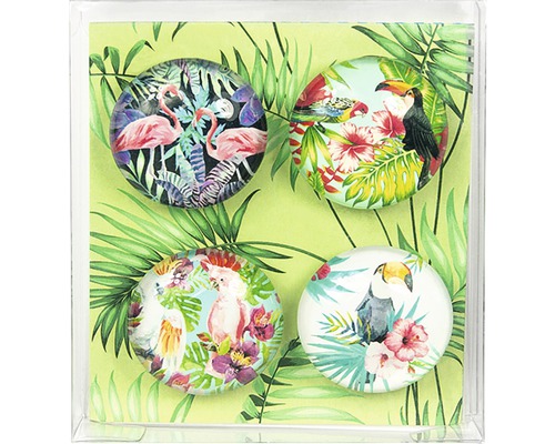 Decoratieve magneten, rond, paradijsvogel, set van 4