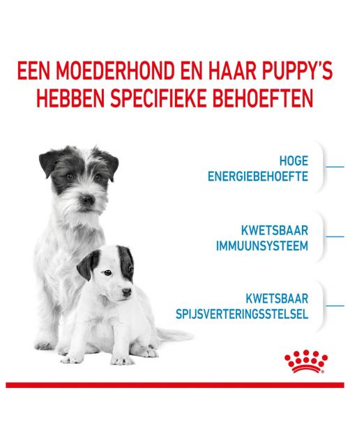 Royal Canin Mini Starter Mother & Babydog - Puppy-Hondenvoer