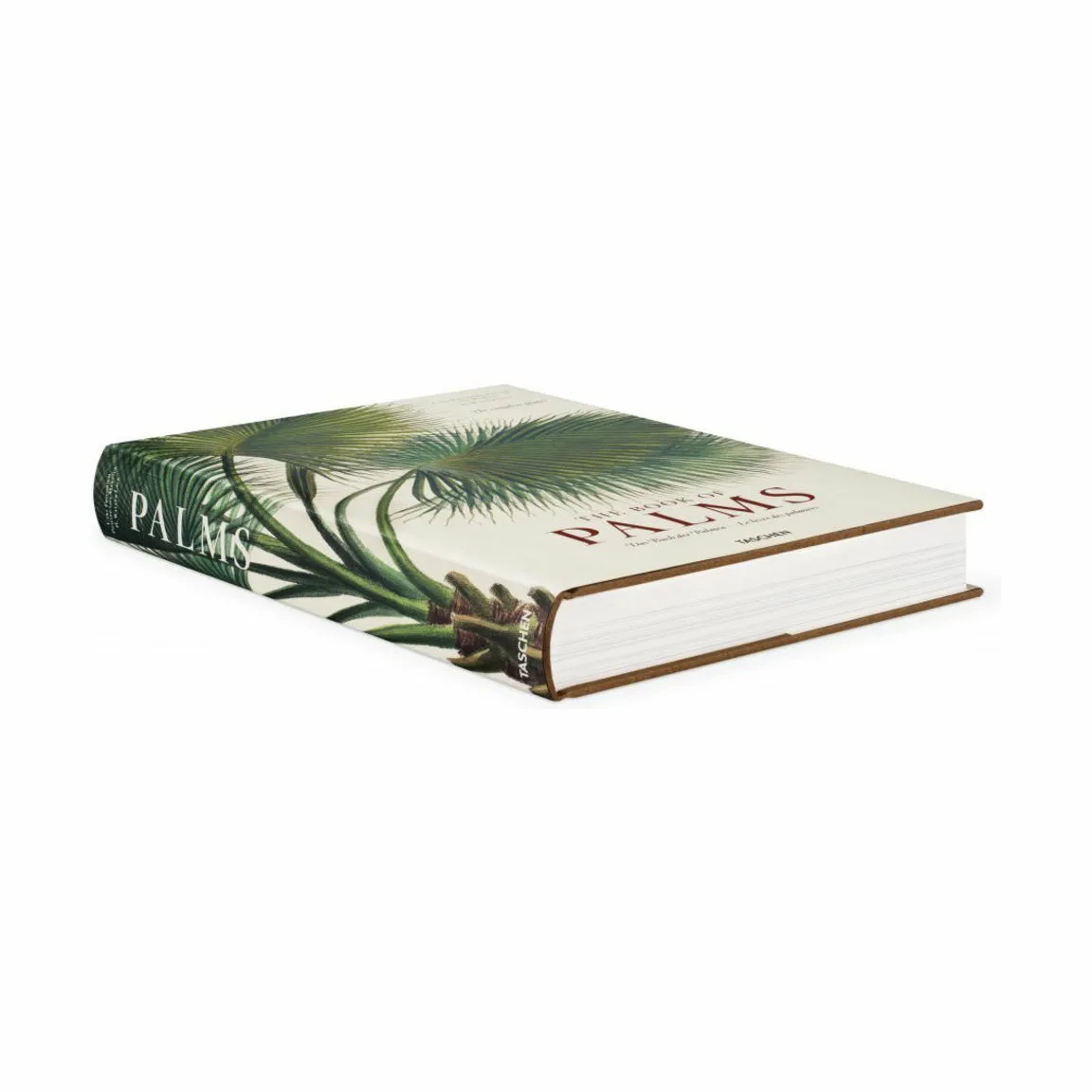 New Mags The Book of Palms - Af H. Walter Lack