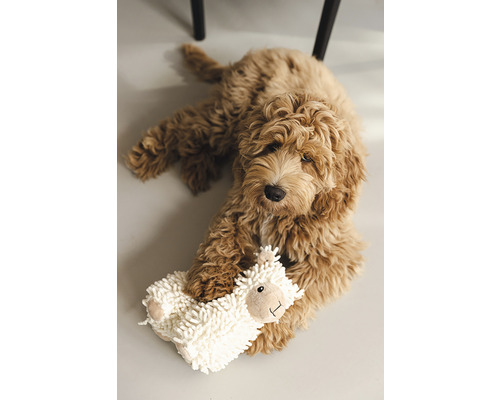 Beeztees Eco Toy Schaap Jovi Hondenspeelgoed, 20 x 6 x 21 cm, beige, 100% gerecycled materiaal