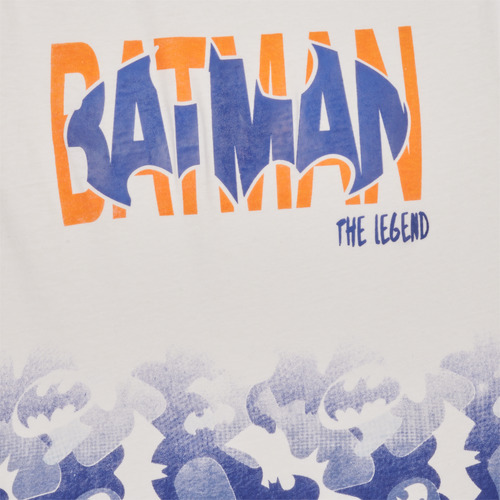 TEAM HEROES  - ENSEMBLE BATMAN - Multicolore
