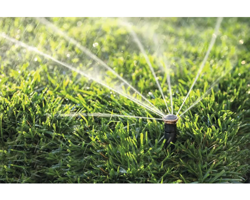 Professionele pop-up sproeier RainBird R-Van18 (werpbereik 4-5,5 m)