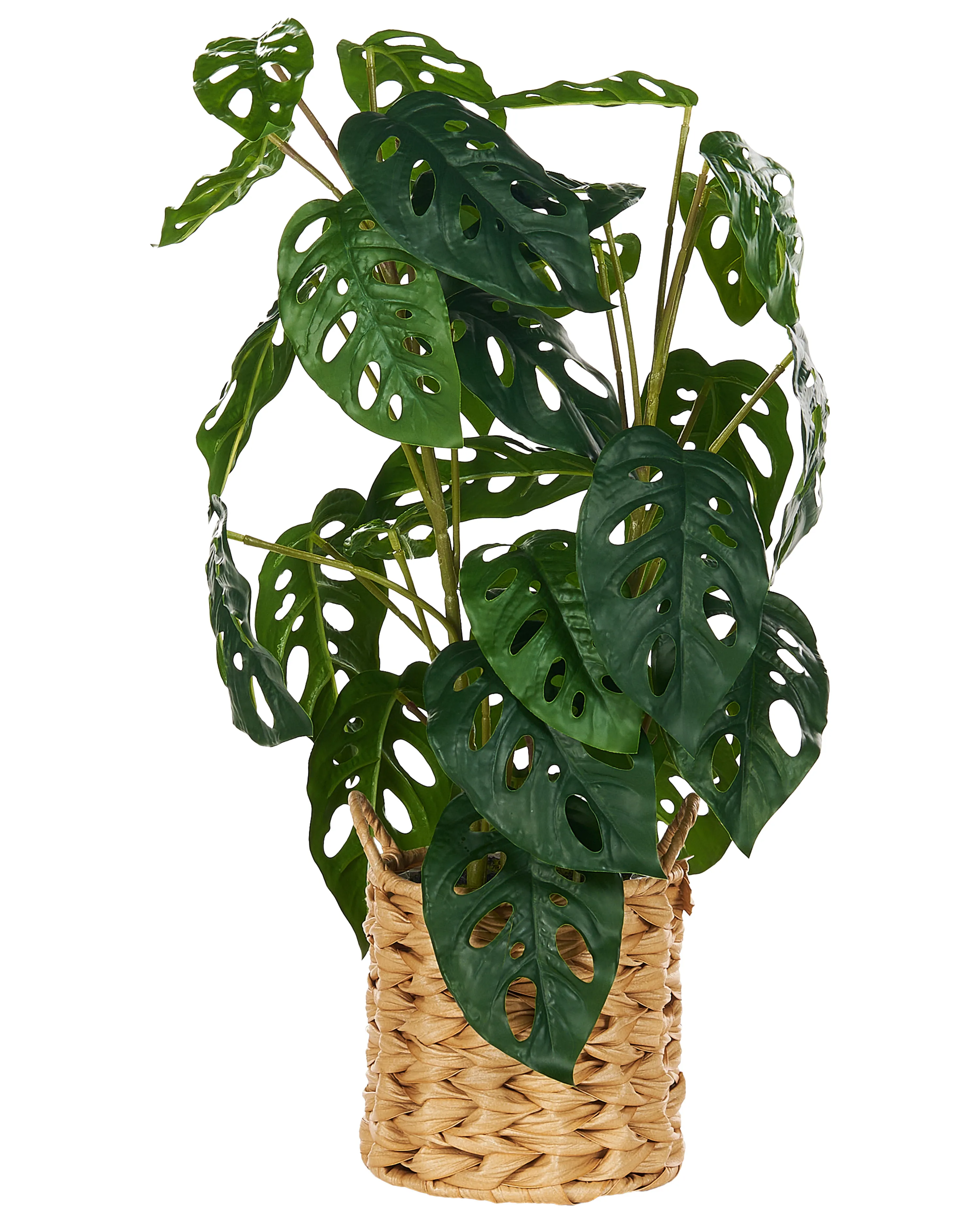 Kunstplant MONSTERA ADANSONII 53 cm Groen