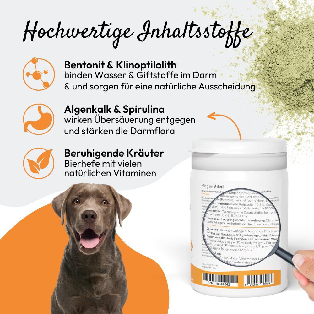 PHA MagenVital Plv für Hunde Ds 200 g