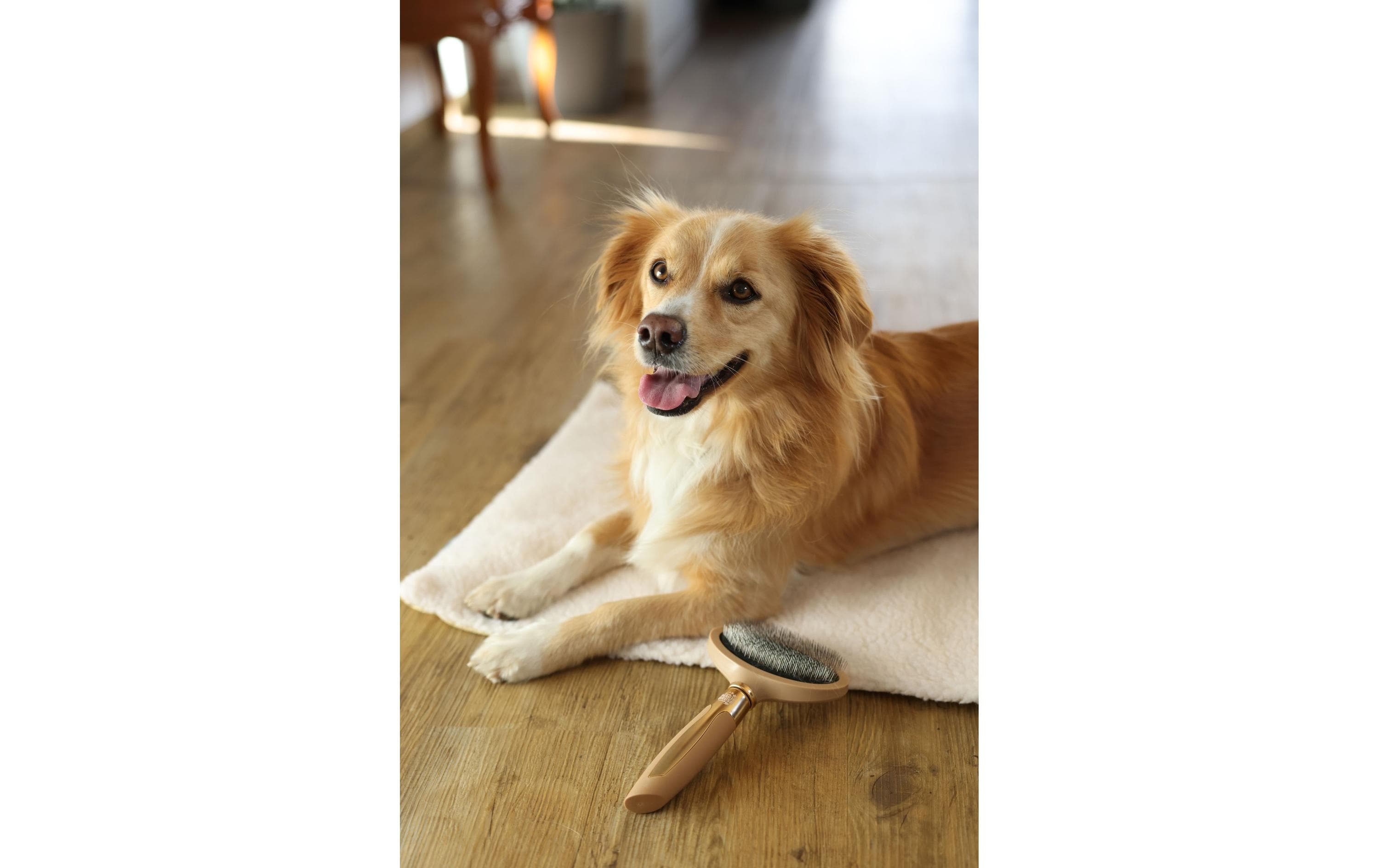MagicBrush Softzupfbürste 11 cm x 21 cmZum Entfernen von losen Haaren und leichten Verfilzungen