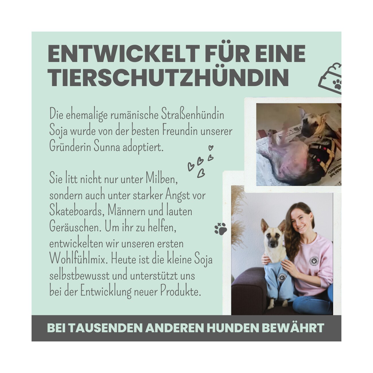 noms+ Wohlfühlmix für Hunde & Katzen bei Stress & Angst 150g
