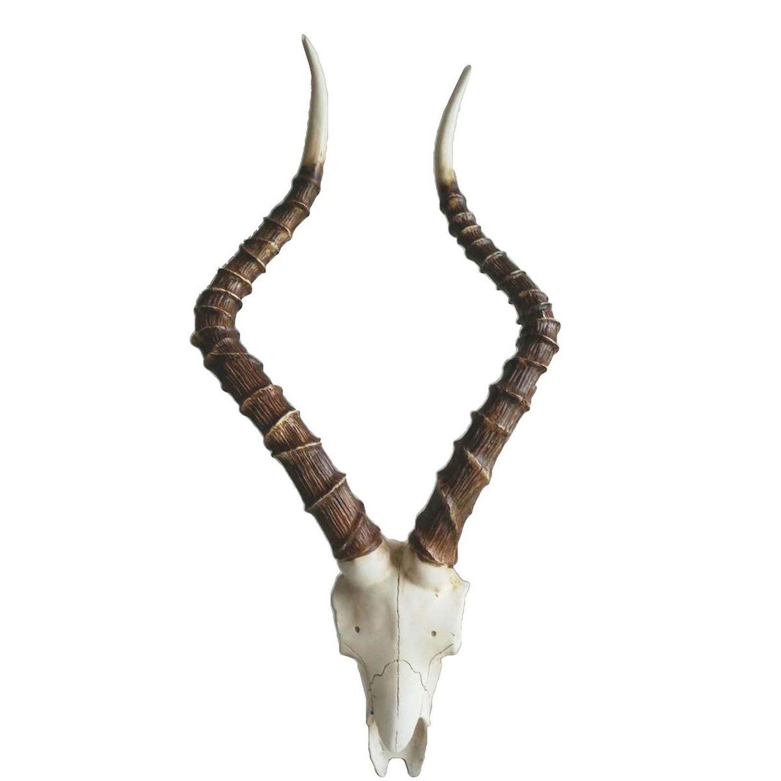 Deko-Kopf IMPALA - 64 cm