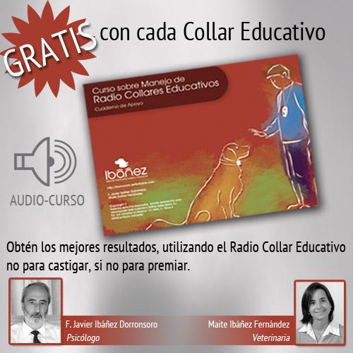 Coleira de adestramento profissional Dogtrace Mini Easy para cães