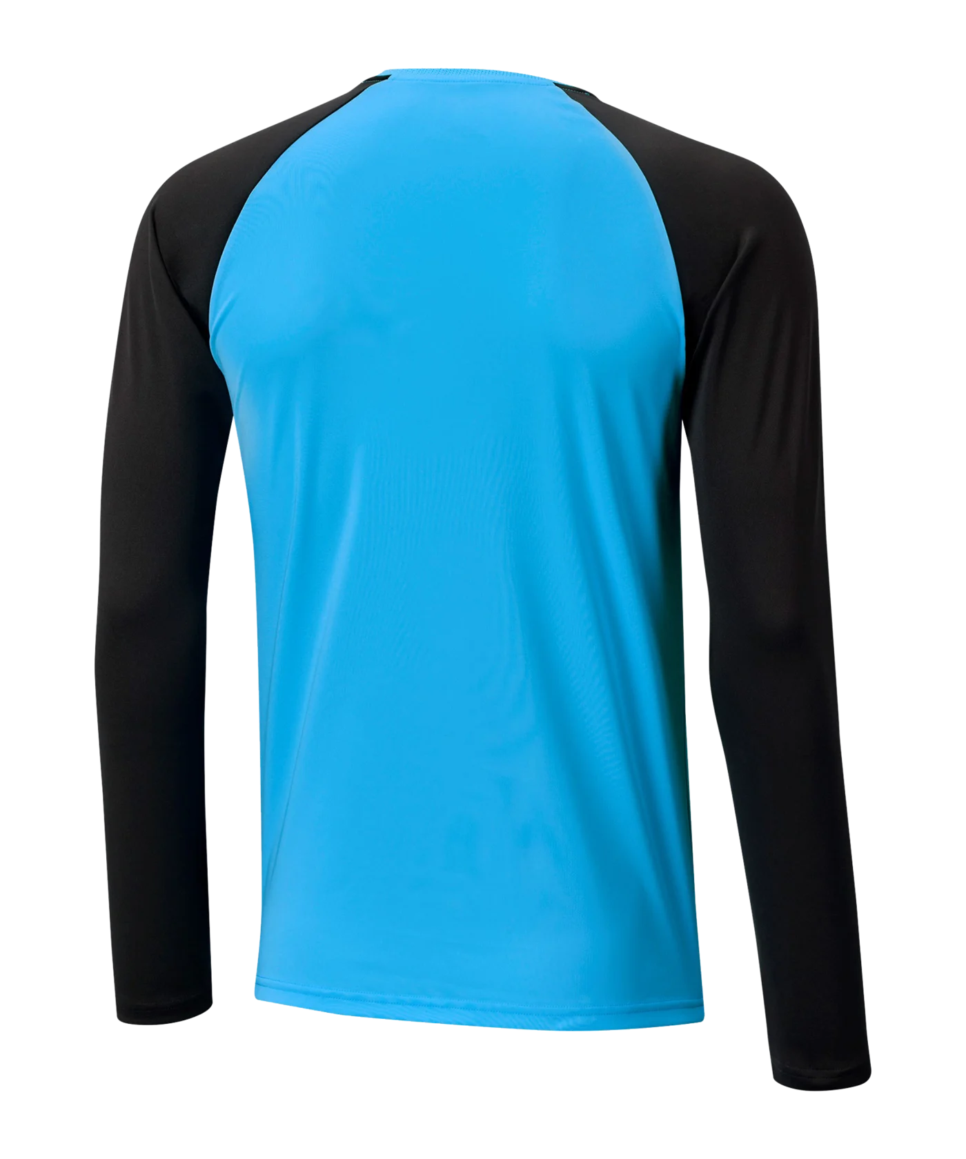 PUMA teamPACER Torwarttrikot langarm Blau F40