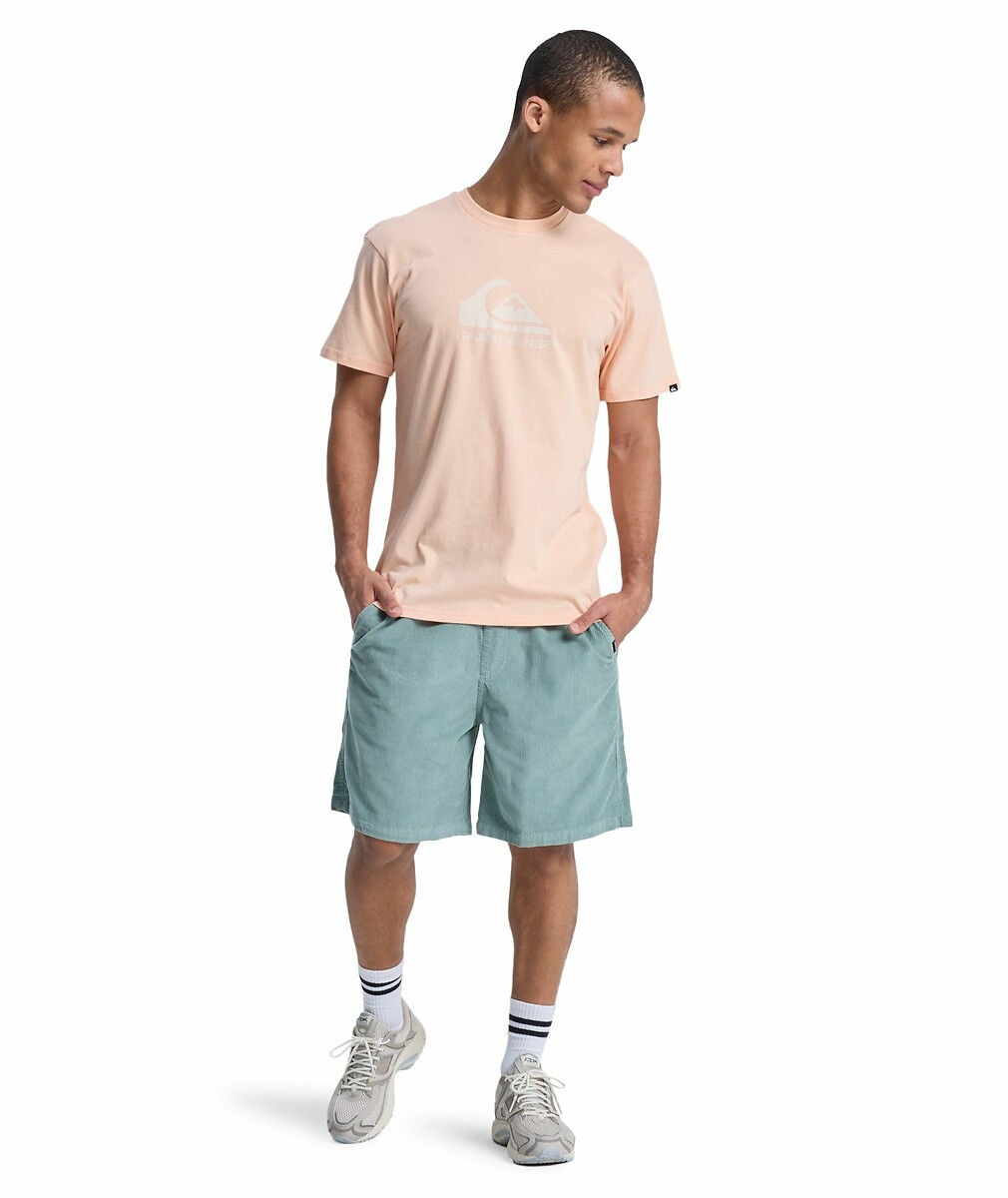 QUIKSILVER<br>Camiseta de manga curta com logotipo grande
