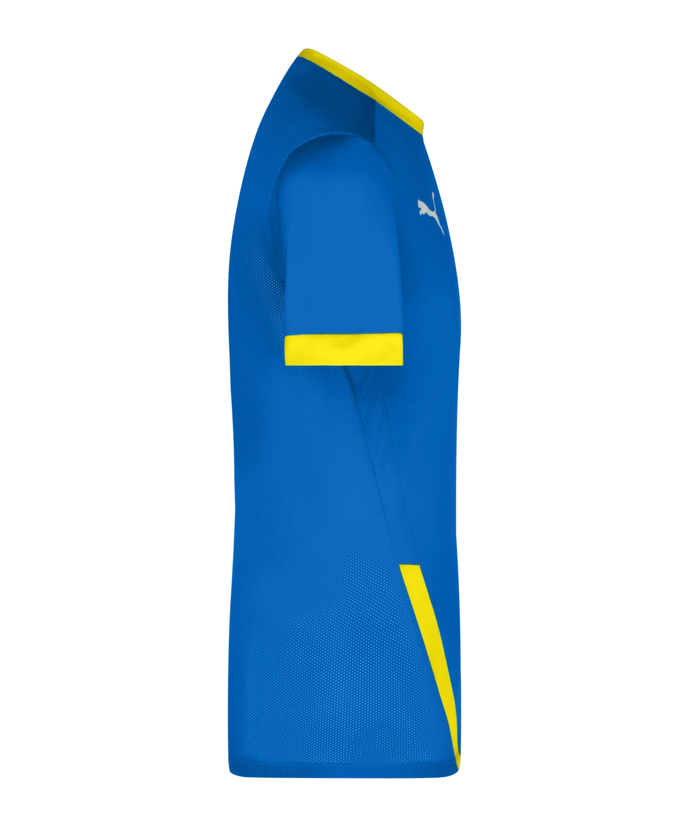 PUMA teamGOAL 23 Trikot kurzarm Blau F16
