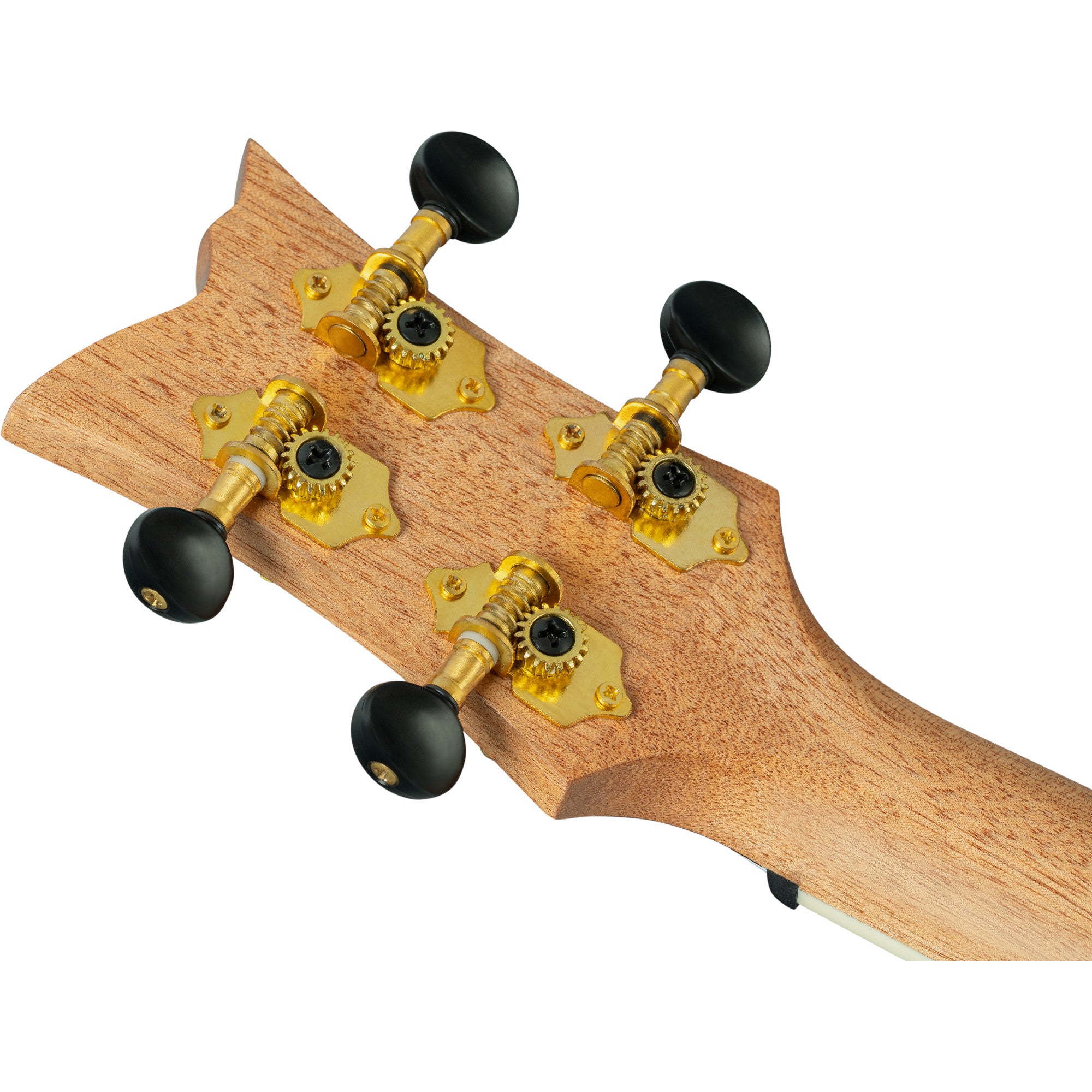 Ortega Ghost Series RUGH-OCT tenor ukelele met gigbag