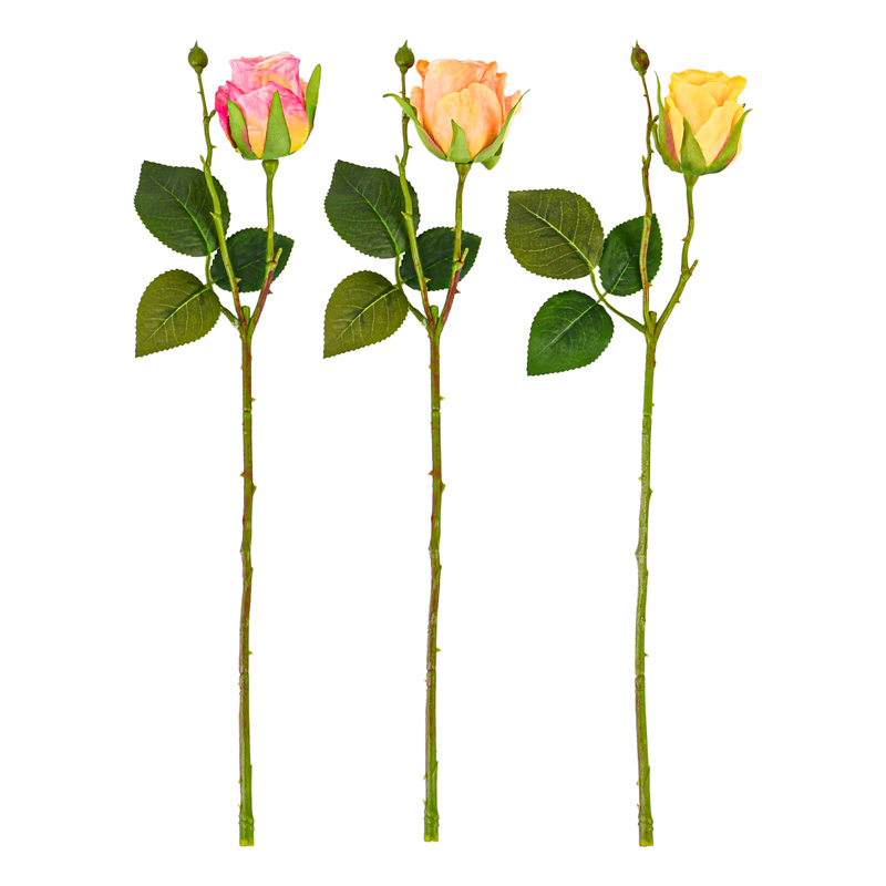 Tige de bouton de rose