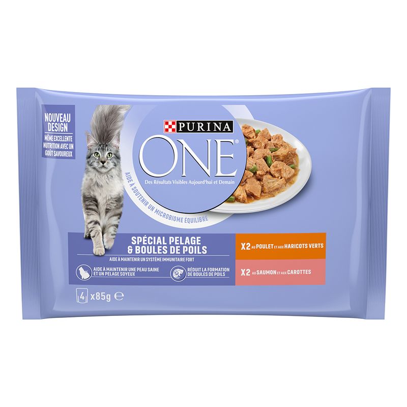 PURINA ONE Pelage & Boules de Poils