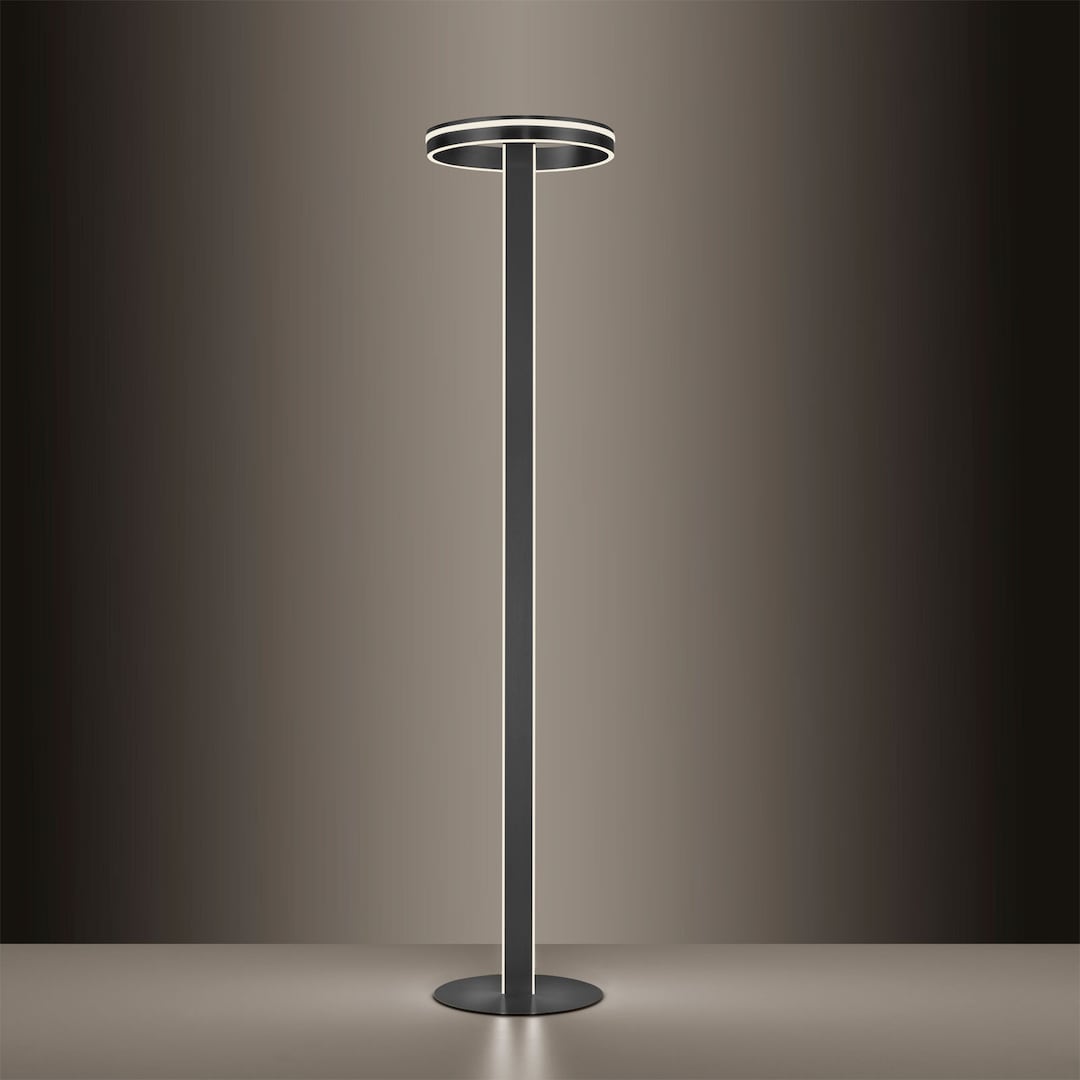 Paul Neuhaus Smart Home LED Stehlampe Q-VITO anthrazit